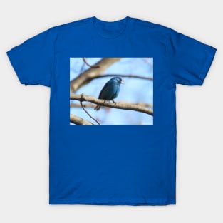 Indigo Bunting No.7 T-Shirt